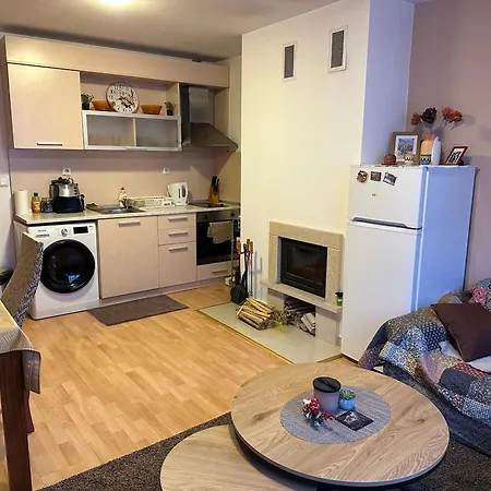 Apartment The Merry Goose In