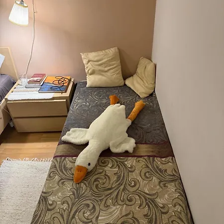 Apartment The Merry Goose In